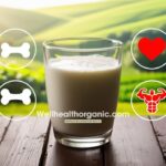 Wellhealthorganic.com : Buffalo Milk Good For Health